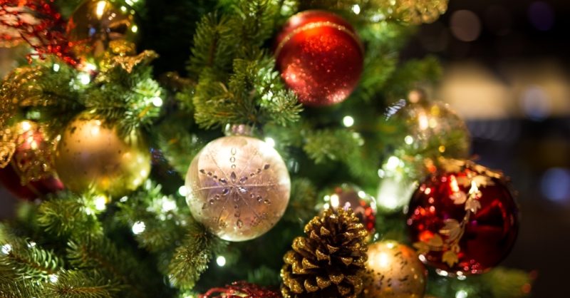 Christmas Trash Collection 2022 79922 Trash & Recycling Services In Sherwood, Or | Pride Disposal & Recycling